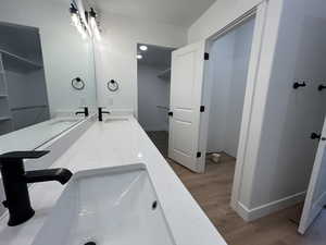 Bathroom featuring vanity and wood-type flooring