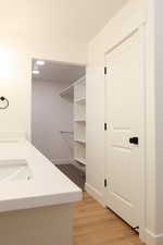 Bathroom with sink and hardwood / wood-style floors