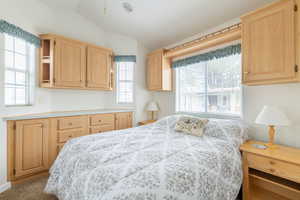 Bedroom featuring vaulted ceiling