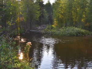 View of water feature