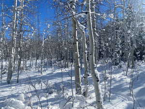 View of yard covered in snow