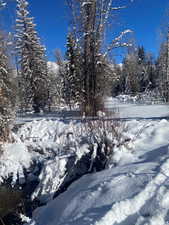 View of snowy yard