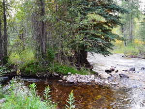 View of nature