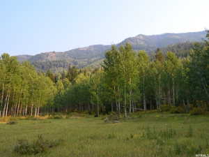 Property view of mountains