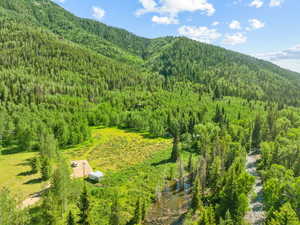 Bird's eye view featuring a mountain view