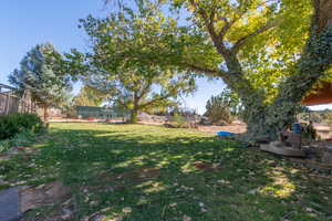 View of yard with a trampoline