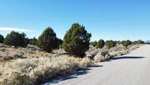 View of road featuring a rural view