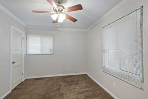 Carpeted spare room featuring ceiling fan and ornamental molding