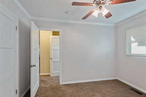 Spare room featuring carpet flooring, ceiling fan, and ornamental molding