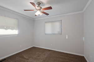 Empty room with carpet floors, ceiling fan, and ornamental molding