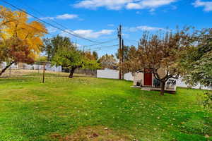 View of yard, Golden Delicious Apple Tree and shed