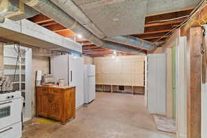 Basement with white fridge