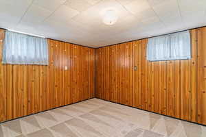 Carpeted empty room with wooden walls