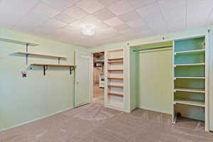 Spacious closet featuring NEW light carpet