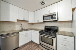 Kitchen featuring white cabinetry, sink, stainless steel appliances, tasteful backsplash, and dark hardwood / wood-style floors