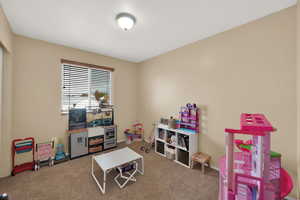 Recreation room with carpet floors