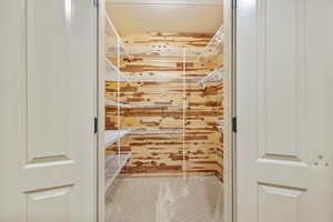 Spacious closet with cedar