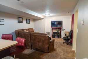 Living room with carpet and a textured ceiling