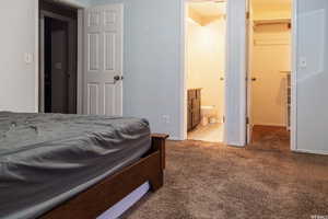 Bedroom with a spacious closet, connected bathroom, a closet, and light colored carpet