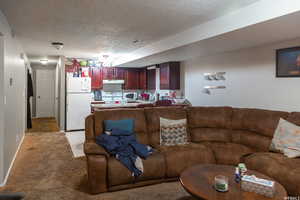 Carpeted living room featuring a textured ceiling