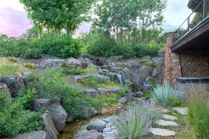 View of yard at dusk