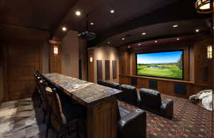 Carpeted cinema featuring wooden walls