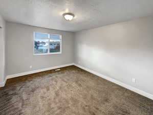 Spare room featuring carpet and a textured ceiling