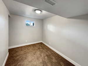 Basement with carpet and a textured ceiling