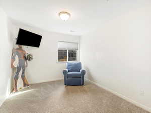 Sitting room with carpet flooring