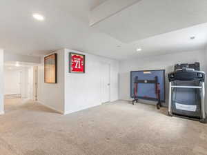 Basement featuring carpet