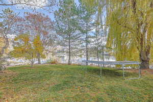 View of yard with a water view and a trampoline