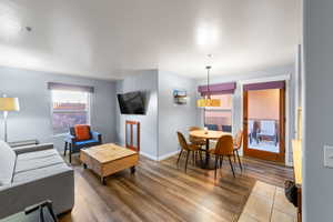 Living room featuring wood-type flooring