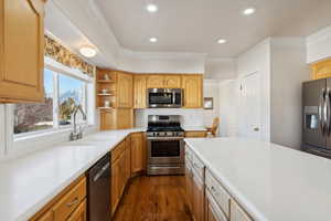 Kitchen with dark hardwood / wood-style floors, crown molding, sink, and appliances with stainless steel finishes