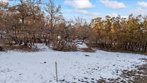 View of snowy landscape