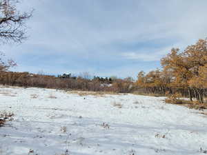 Photo 8 of 425 S WOODLAND HILLS (LOT#2) DR