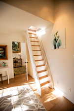 Staircase with wood-type flooring