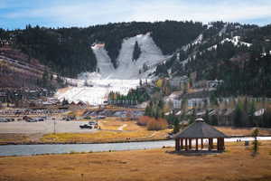 Mountain view with a water view