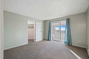 Unfurnished bedroom with carpet flooring and a textured ceiling