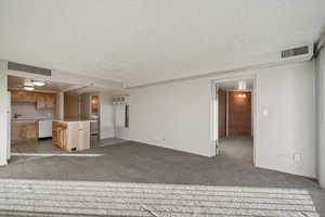 Unfurnished living room with light carpet, a textured ceiling, and sink