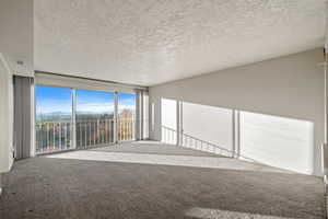 Carpeted empty room featuring a textured ceiling