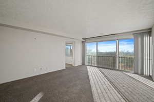 Carpeted empty room with a textured ceiling