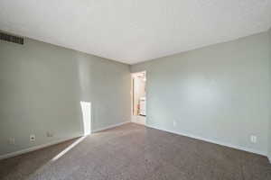 Carpeted spare room featuring a textured ceiling and washer / clothes dryer