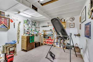 Exercise room with a workshop area and light colored carpet