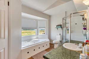 Full bathroom featuring hardwood / wood-style floors, vanity, lofted ceiling, toilet, and shower with separate bathtub