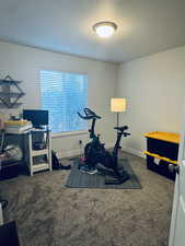 Workout room featuring carpet flooring and a textured ceiling