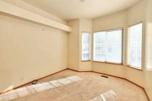 View of carpeted spare room