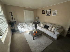 Carpeted living room featuring a textured ceiling