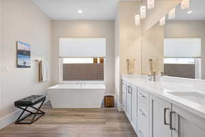 Bathroom featuring wood-type flooring, a bathtub, and vanity