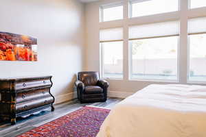 Bedroom with multiple windows and wood-type flooring