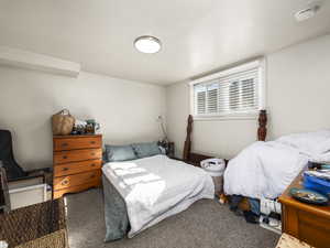 Bedroom with carpet